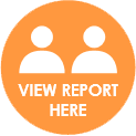 view report here