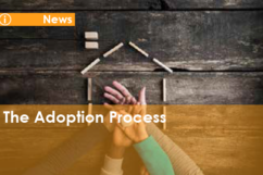 Adoption Process Banner
